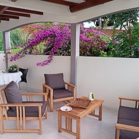 סנט-מארי Paradis Cache - Confort Terrasse - Kybo Karaib Location - Pkg - Mtgne מראה חיצוני תמונה
