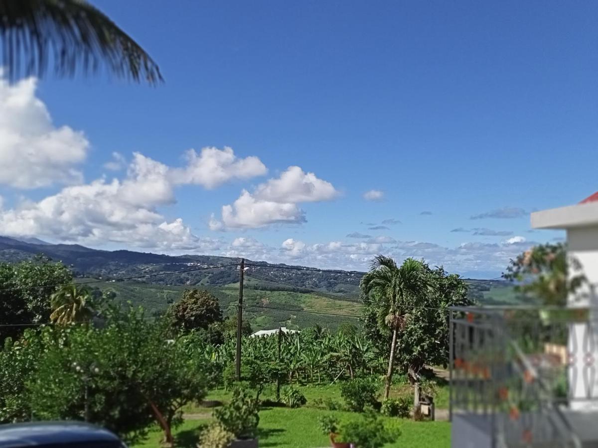 סנט-מארי Paradis Cache - Confort Terrasse - Kybo Karaib Location - Pkg - Mtgne מראה חיצוני תמונה