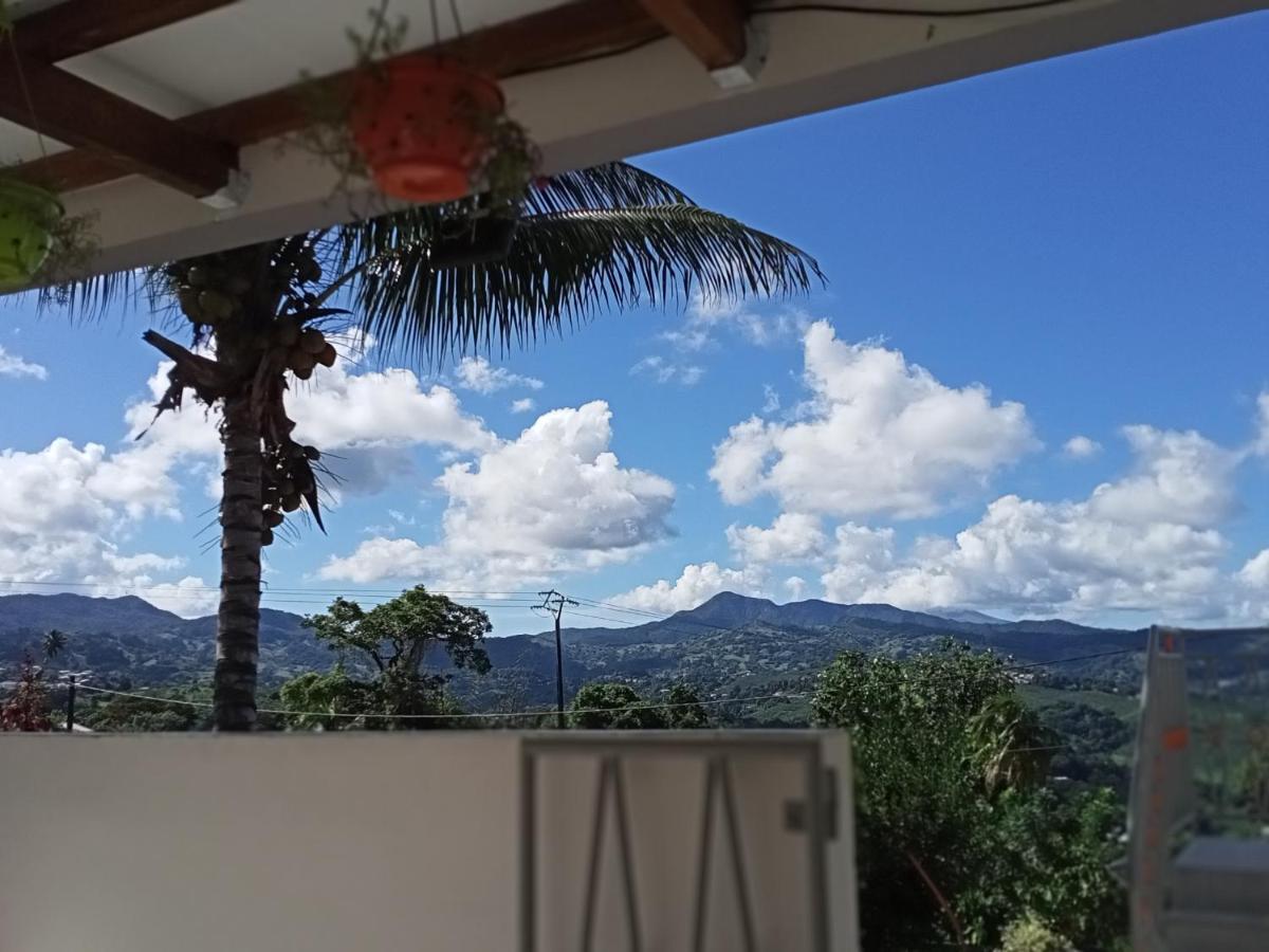 סנט-מארי Paradis Cache - Confort Terrasse - Kybo Karaib Location - Pkg - Mtgne מראה חיצוני תמונה