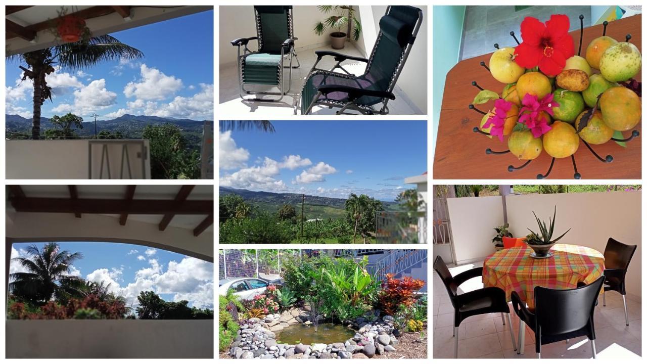 סנט-מארי Paradis Cache - Confort Terrasse - Kybo Karaib Location - Pkg - Mtgne מראה חיצוני תמונה